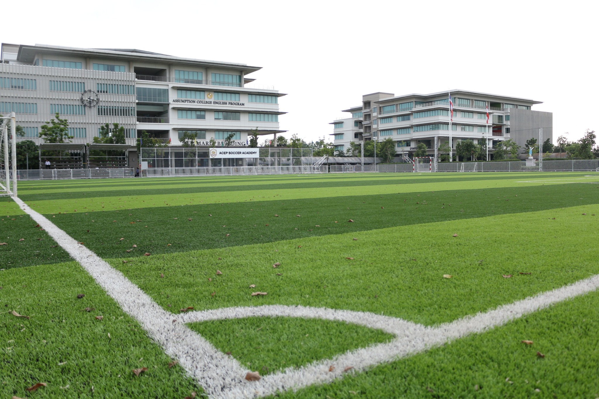 Turf 1