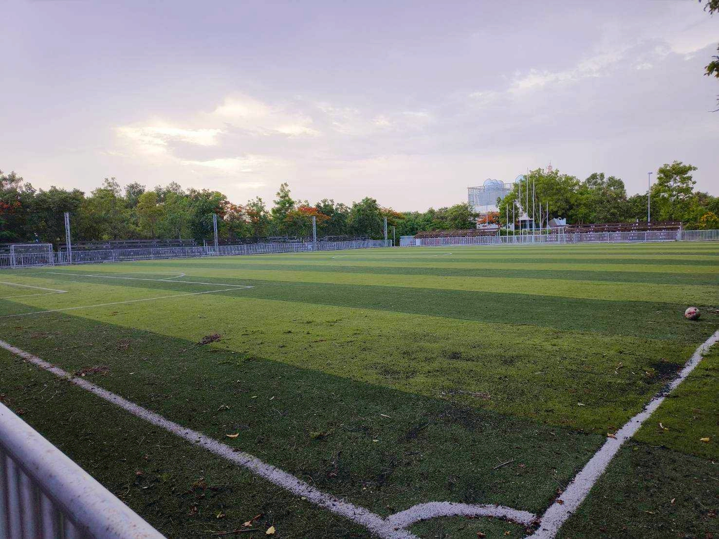Turf 4