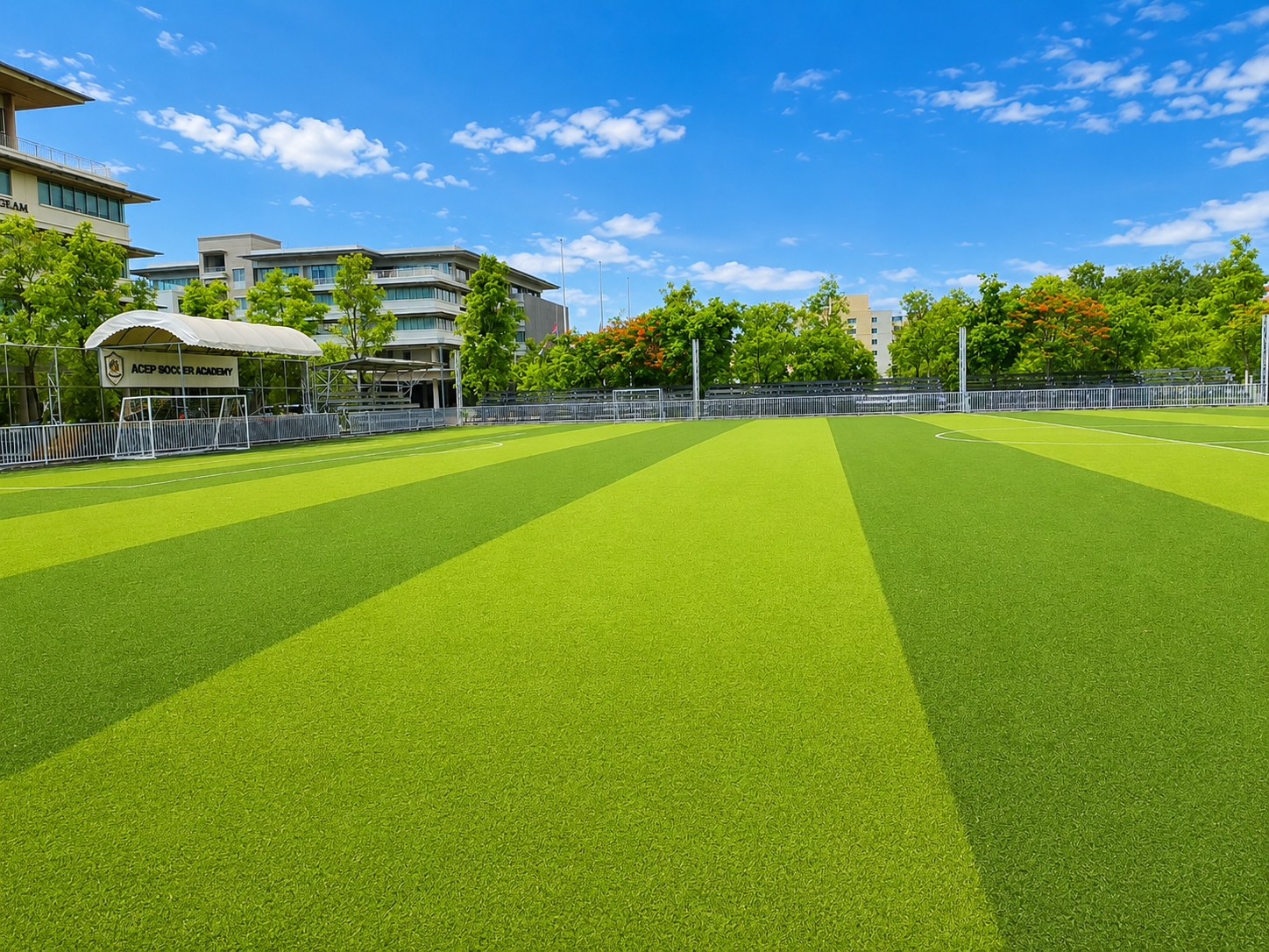Turf 2